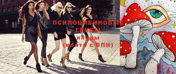твердый Вяземский