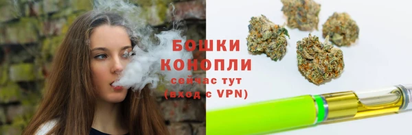 твердый Вяземский