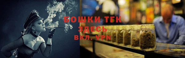 твердый Вяземский
