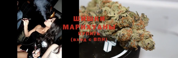 твердый Вяземский