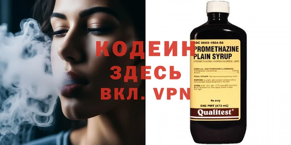 твердый Вяземский