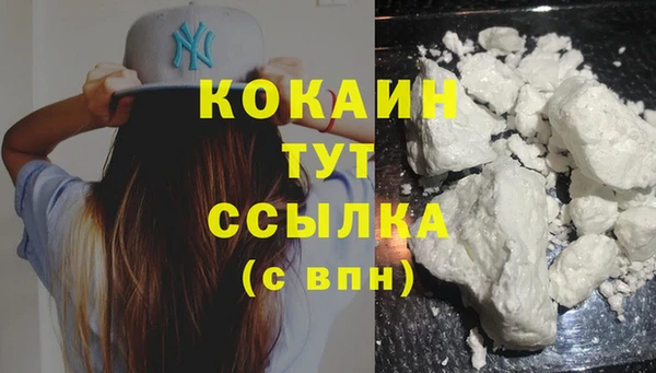 твердый Вяземский