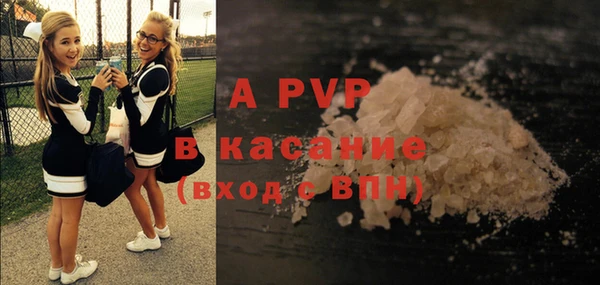 твердый Вяземский
