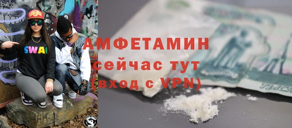 твердый Вяземский