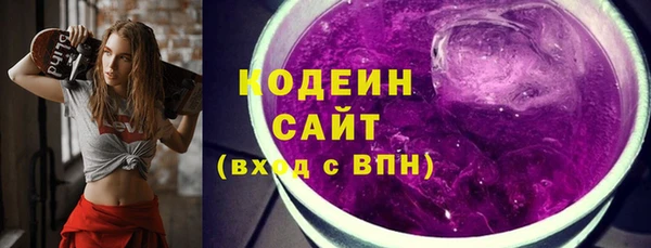 твердый Вяземский