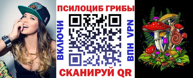 цены   Тула  Галлюциногенные грибы Cubensis 